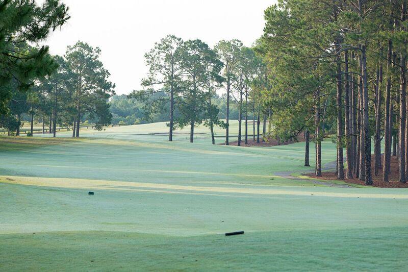 Little Ocmulgee State Park&Lodge McRae-Helena Buitenkant foto